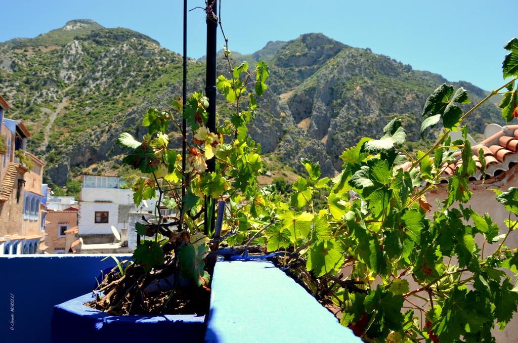 Dar Besmellah Hotel Chefchaouen Luaran gambar